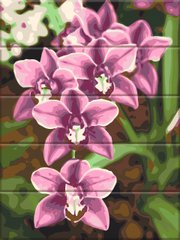 Картина за номерами на дереві "Рожеві орхідеї" ArtStory подарункова упаковка 30x40см ASW227 в інтернет-магазині "Я - Picasso"